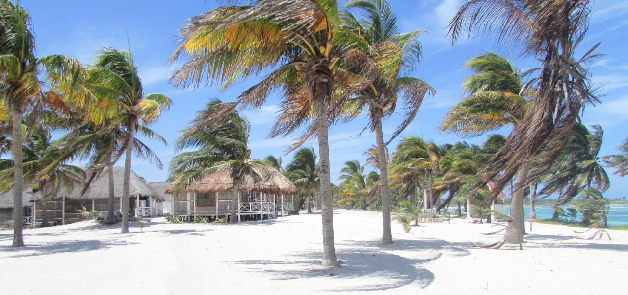 Cabanas Ecoturisticas Costa Maya 마아우알 외부 사진