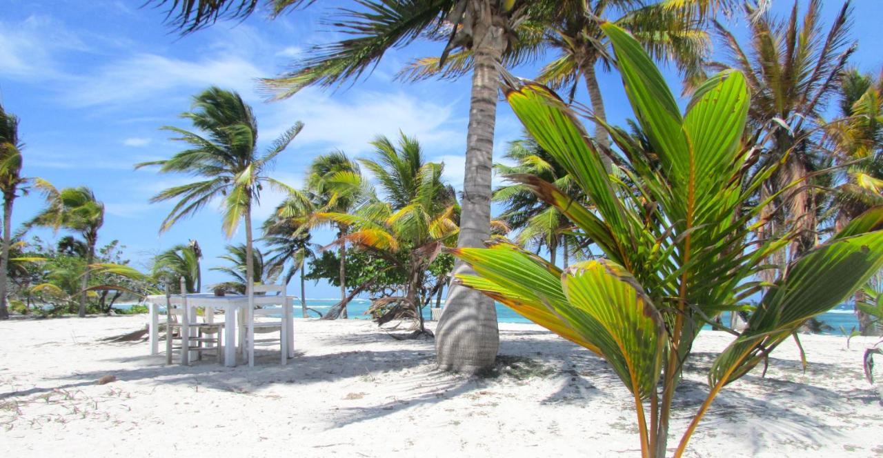 Cabanas Ecoturisticas Costa Maya 마아우알 외부 사진