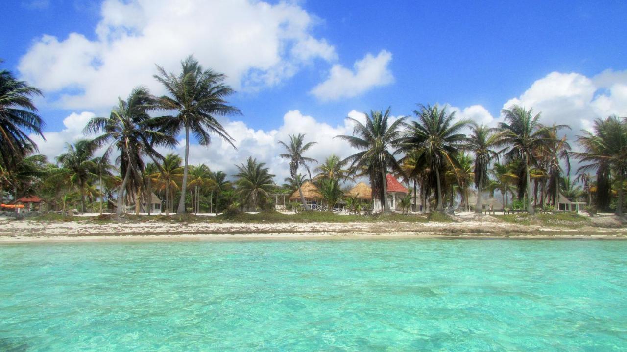 Cabanas Ecoturisticas Costa Maya 마아우알 외부 사진