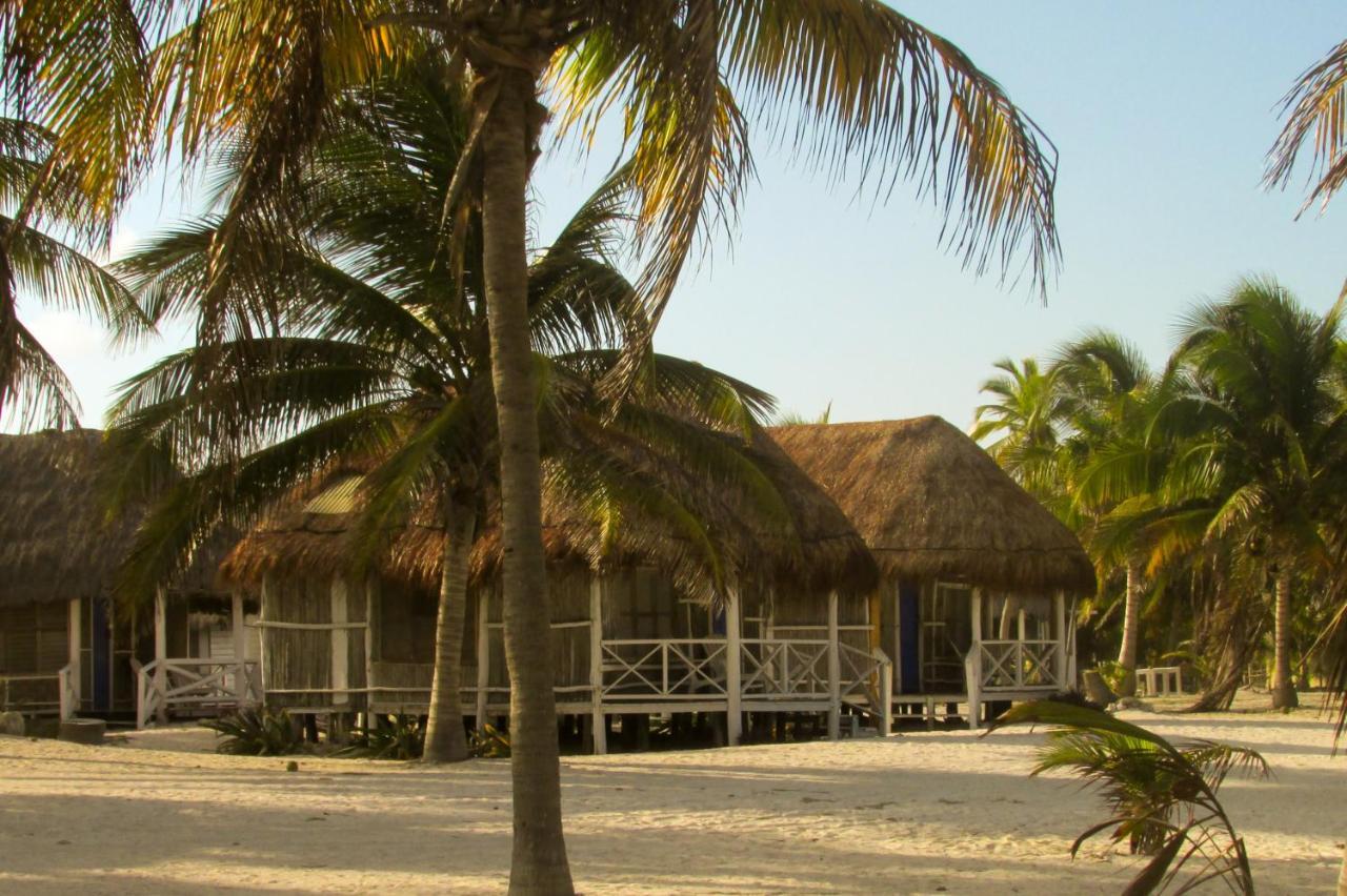 Cabanas Ecoturisticas Costa Maya 마아우알 외부 사진