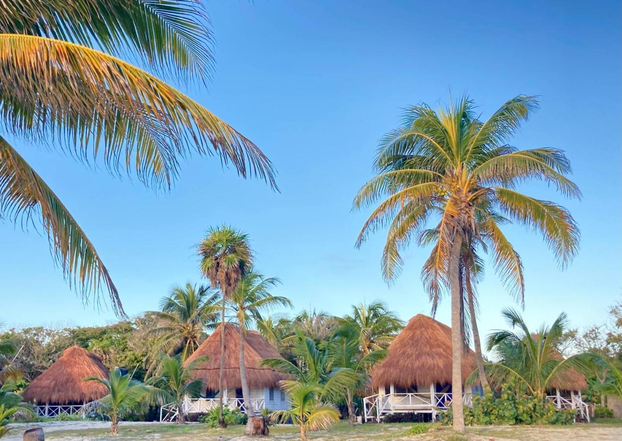 Cabanas Ecoturisticas Costa Maya 마아우알 외부 사진