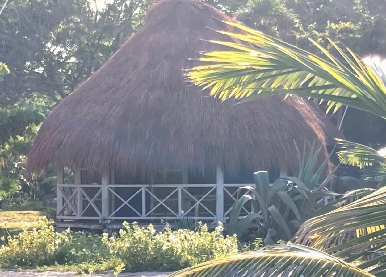 Cabanas Ecoturisticas Costa Maya 마아우알 외부 사진