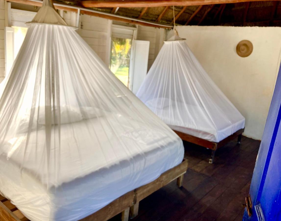 Cabanas Ecoturisticas Costa Maya 마아우알 외부 사진