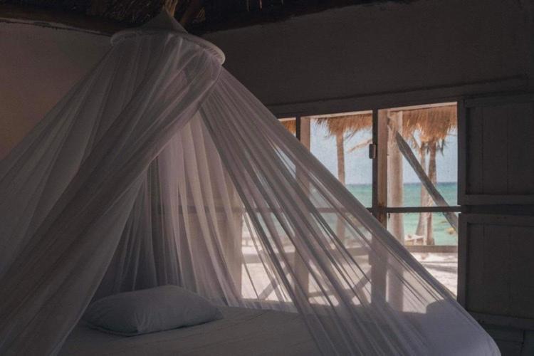 Cabanas Ecoturisticas Costa Maya 마아우알 외부 사진