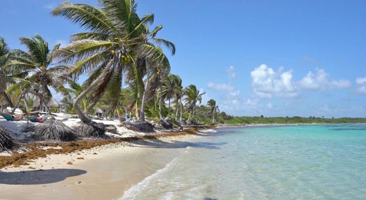 Cabanas Ecoturisticas Costa Maya 마아우알 외부 사진
