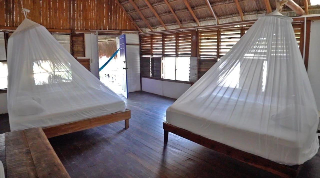 Cabanas Ecoturisticas Costa Maya 마아우알 외부 사진
