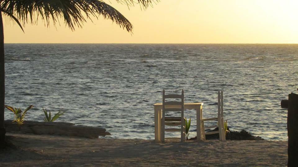 Cabanas Ecoturisticas Costa Maya 마아우알 외부 사진