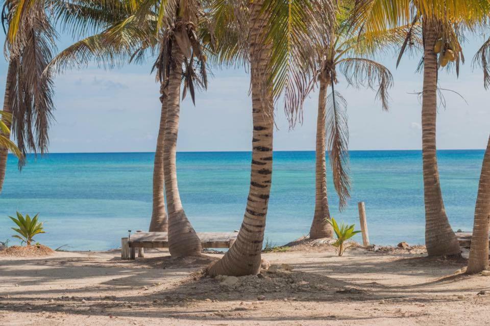Cabanas Ecoturisticas Costa Maya 마아우알 외부 사진