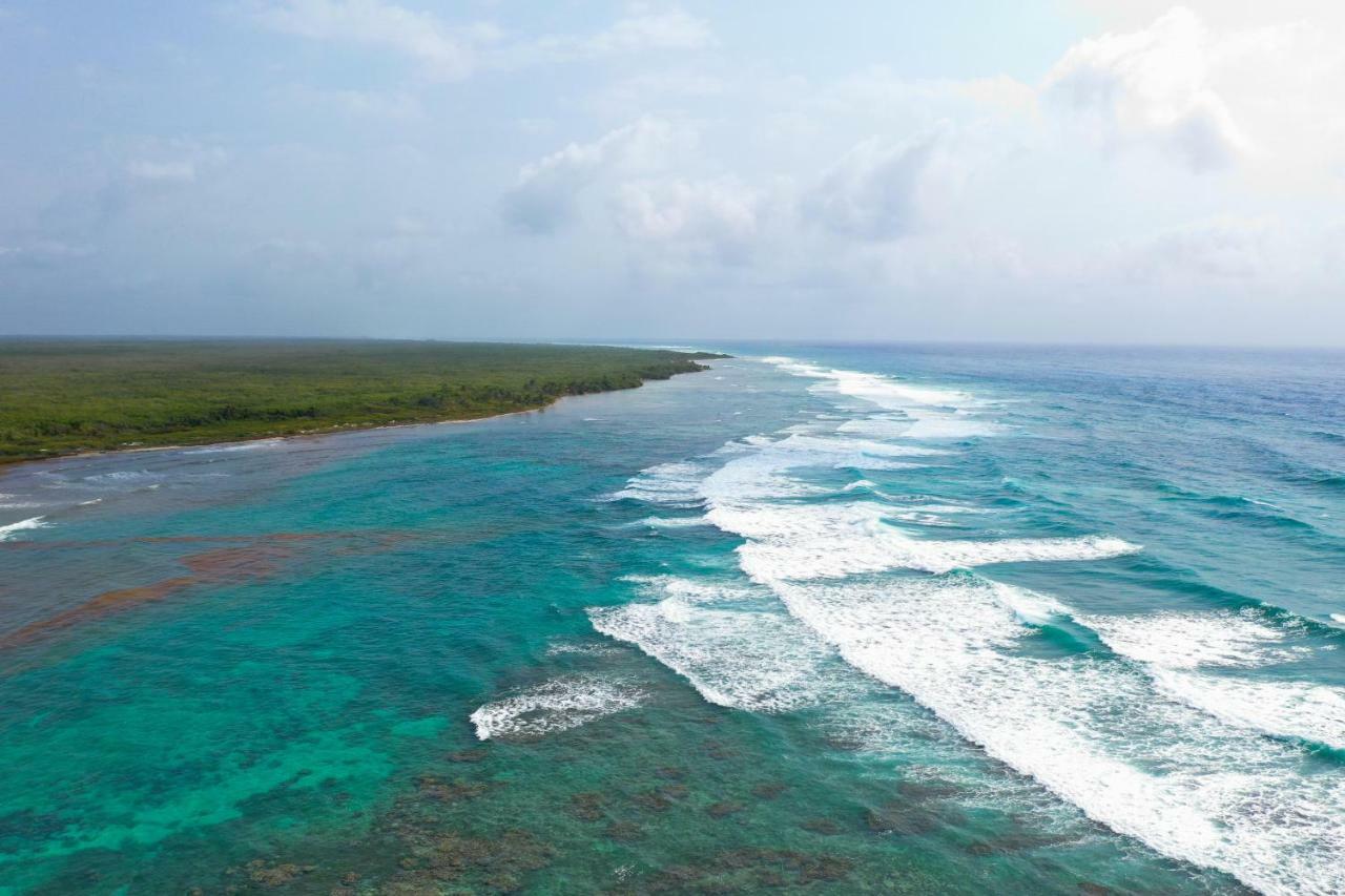 Cabanas Ecoturisticas Costa Maya 마아우알 외부 사진