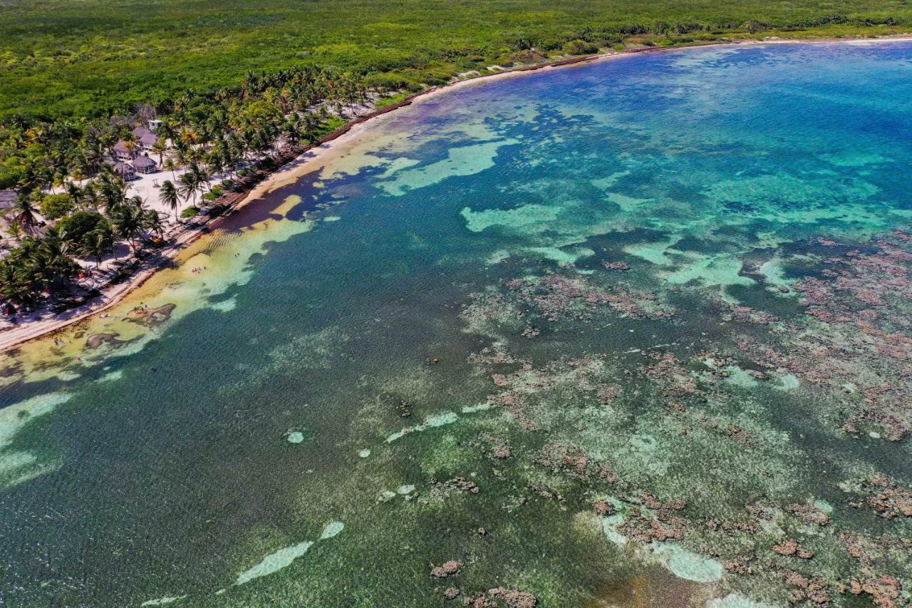 Cabanas Ecoturisticas Costa Maya 마아우알 외부 사진