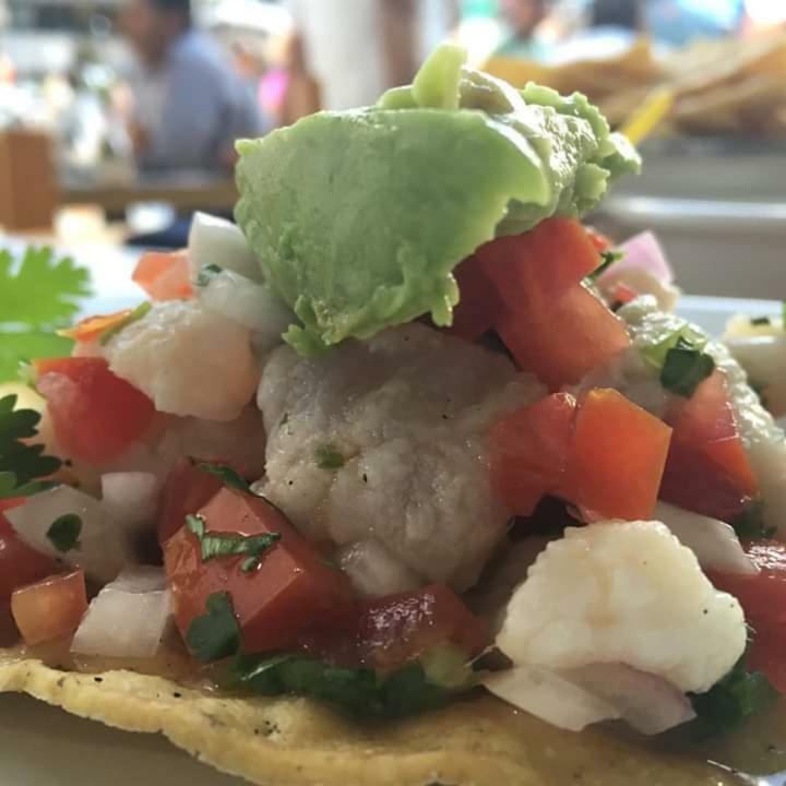 Cabanas Ecoturisticas Costa Maya 마아우알 외부 사진