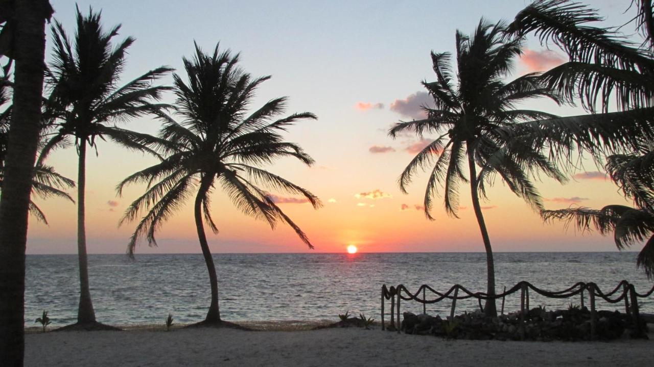 Cabanas Ecoturisticas Costa Maya 마아우알 외부 사진