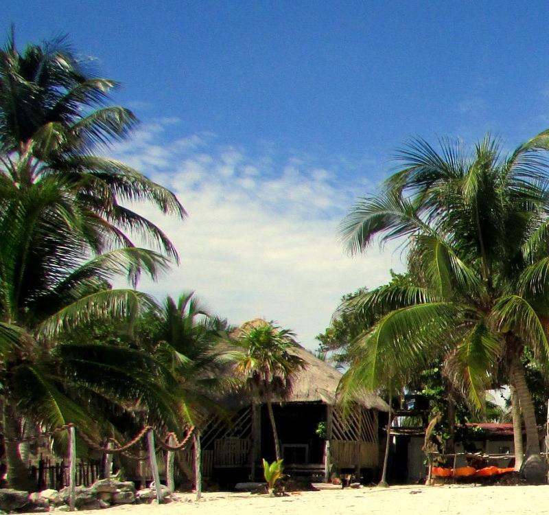 Cabanas Ecoturisticas Costa Maya 마아우알 외부 사진