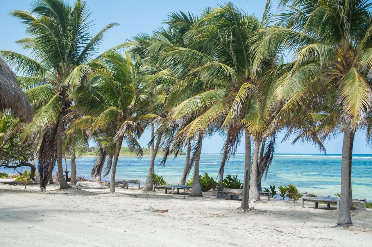 Cabanas Ecoturisticas Costa Maya 마아우알 외부 사진